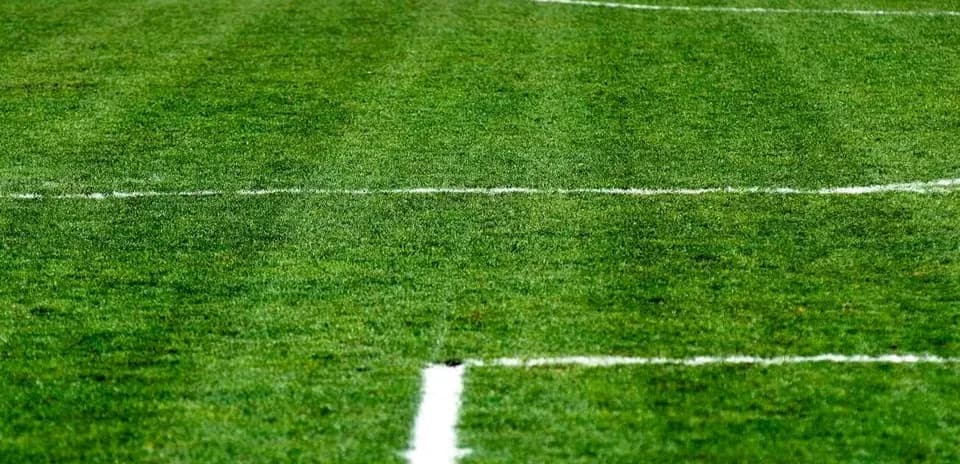 Close-up of a soccer field's grass and lines