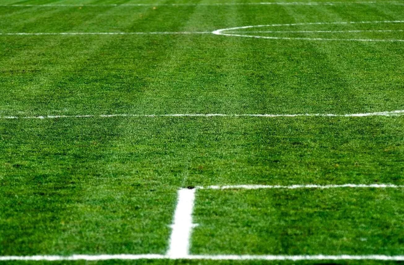 Close-up of a soccer field with marked lines