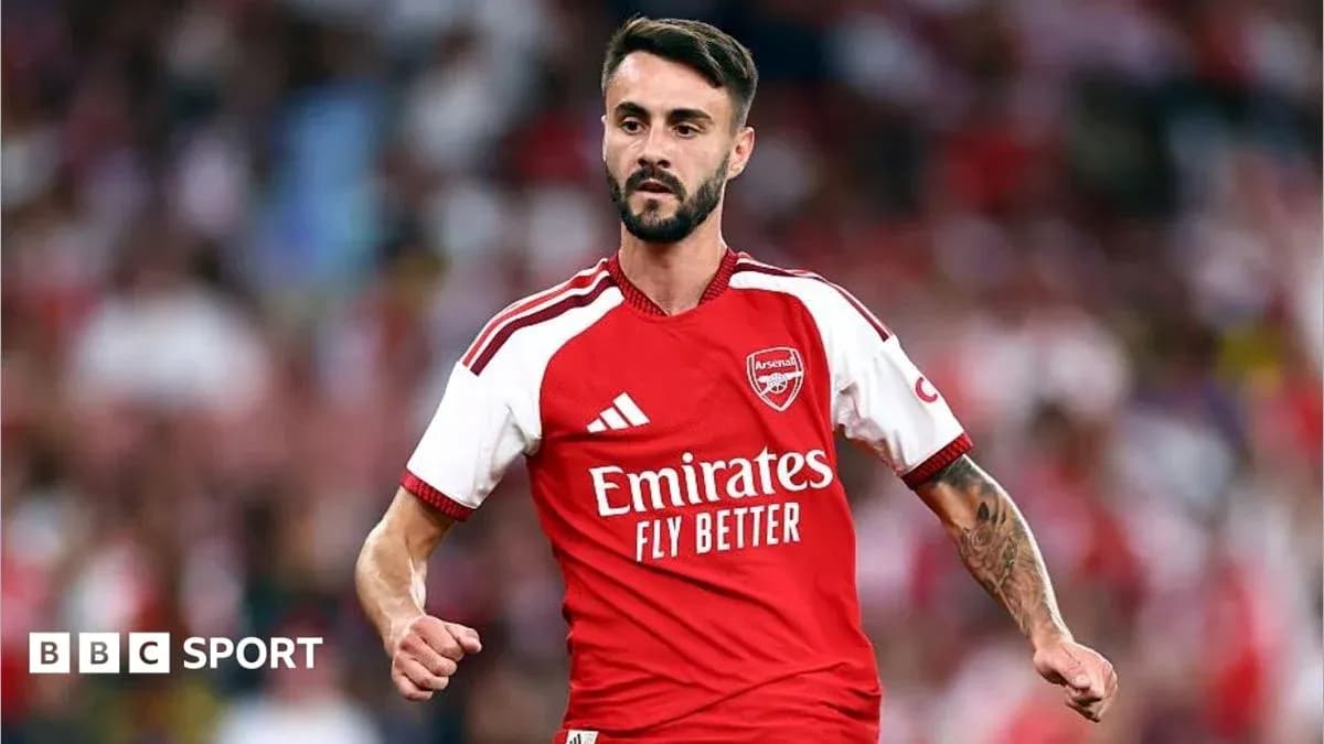 Player in Arsenal kit celebrating during match