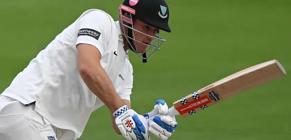 Cricketer batting with a wooden bat on field
