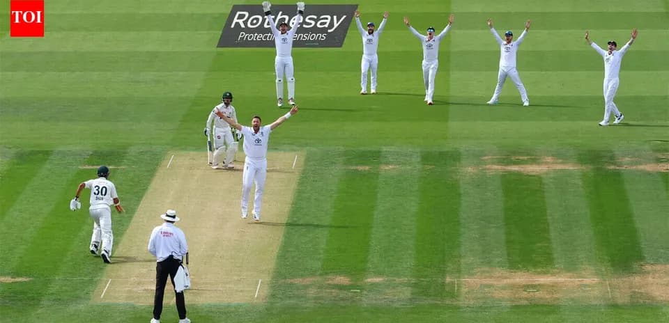 Cricket players celebrating an appeal for a wicket