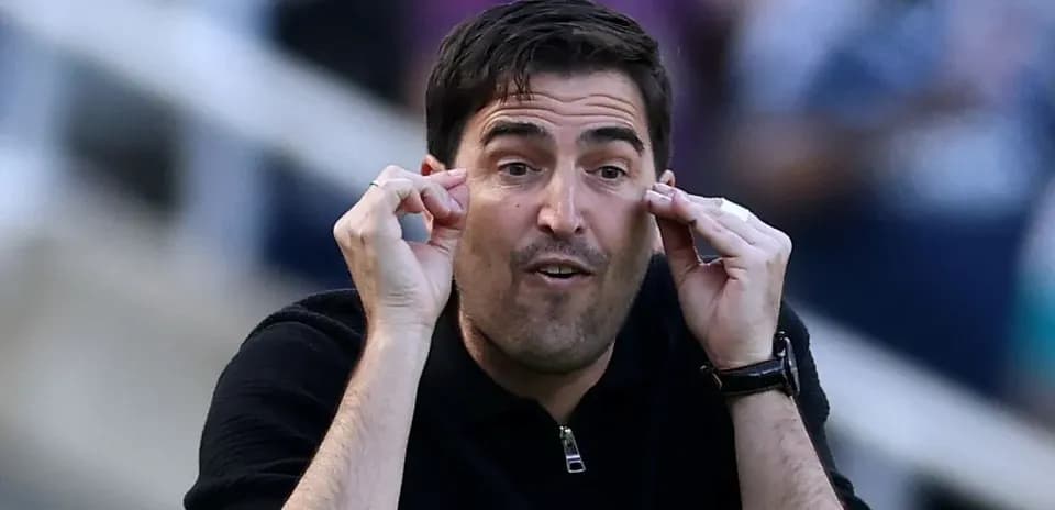 Coach gesturing and communicating during the match