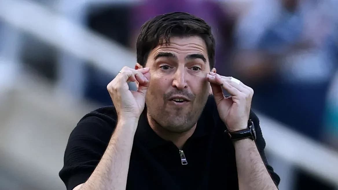 Coach gesturing and communicating during the match
