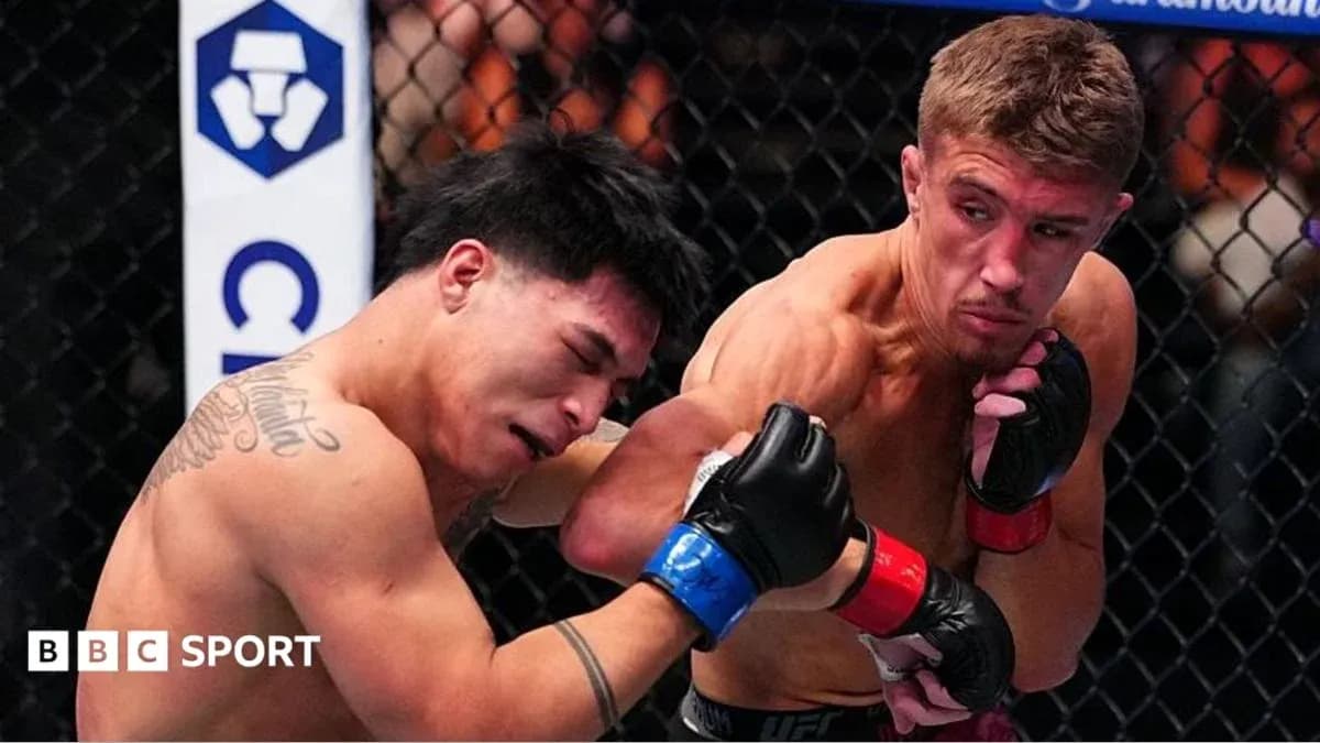 Two fighters exchanging punches in the octagon Two fighters exchanging punches in the octagon