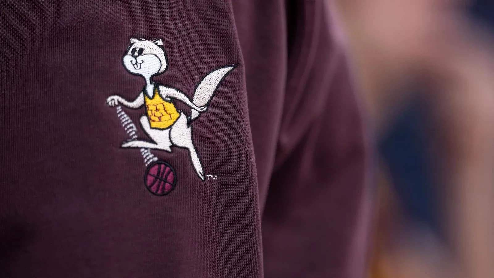 Embroidered mascot logo on maroon clothing Embroidered mascot logo on maroon clothing