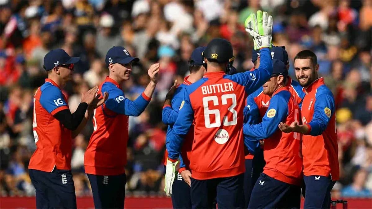 England cricket team celebrating a wicket on field England cricket team celebrating a wicket on field