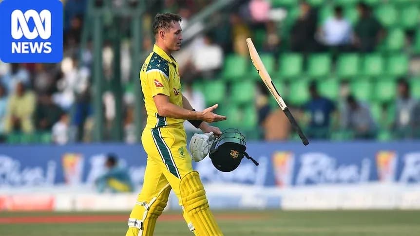 Cricketer walking off field after dismissal Cricketer walking off field after dismissal